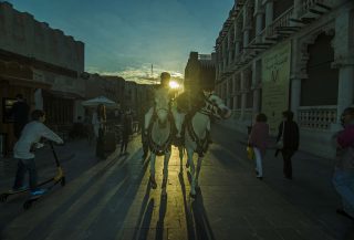 Horses in Souq Waqif