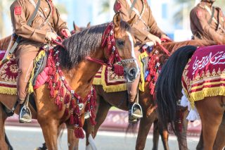 Qatar National Day Parade 2015