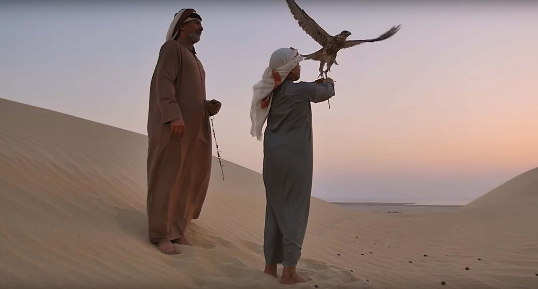 Qatar security patrol to help owners retrieve falcons lost in three cities