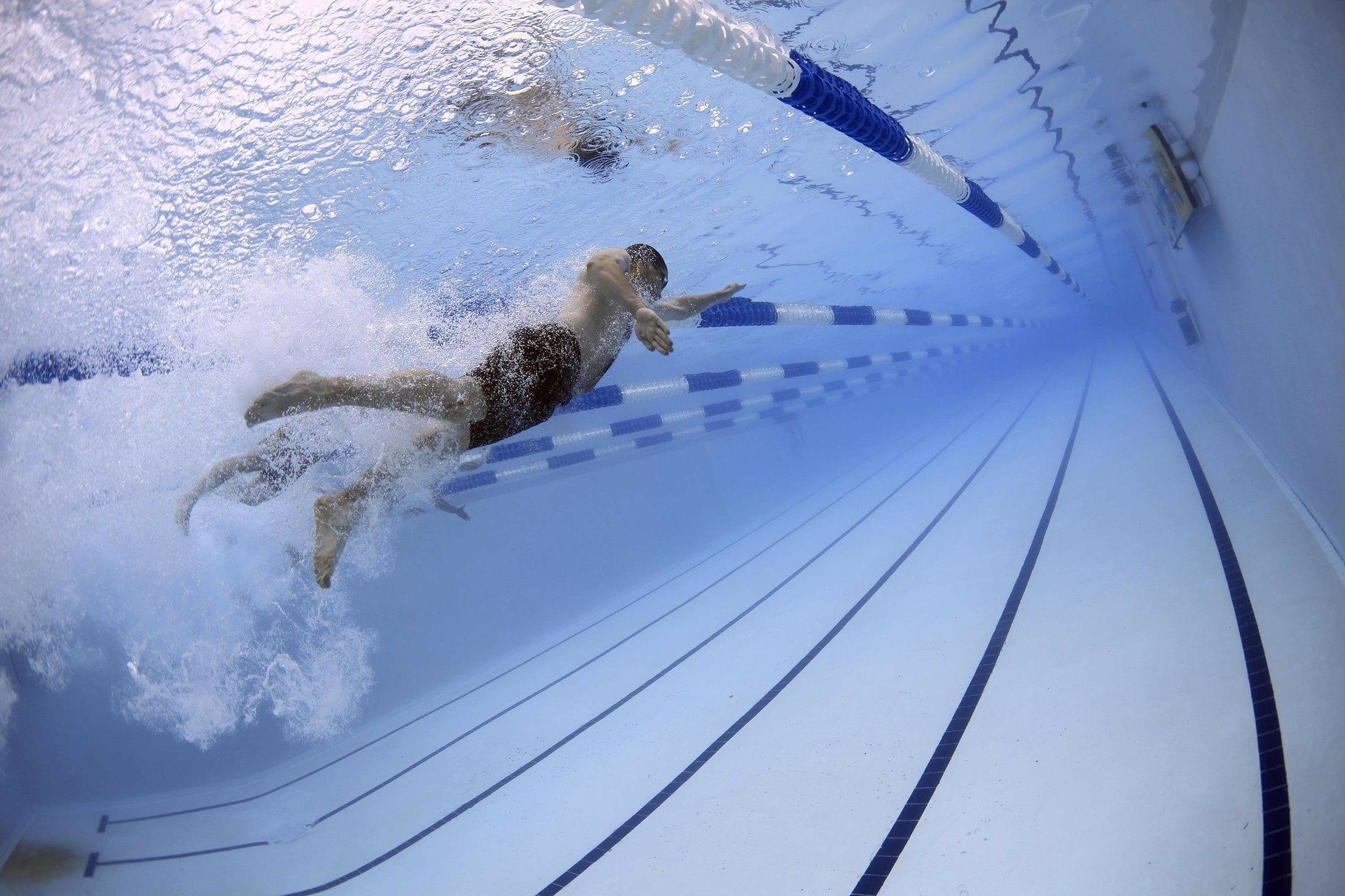 Qatar swimming competitions to return following pandemic hiatus