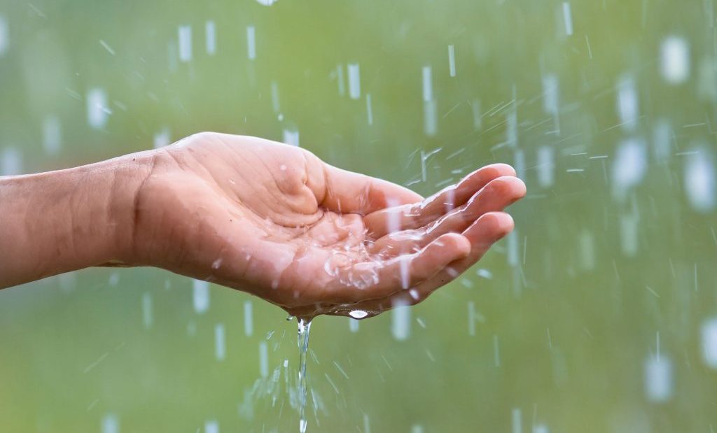 ‘Forever chemicals’ make rainwater unsafe to drink across the globe