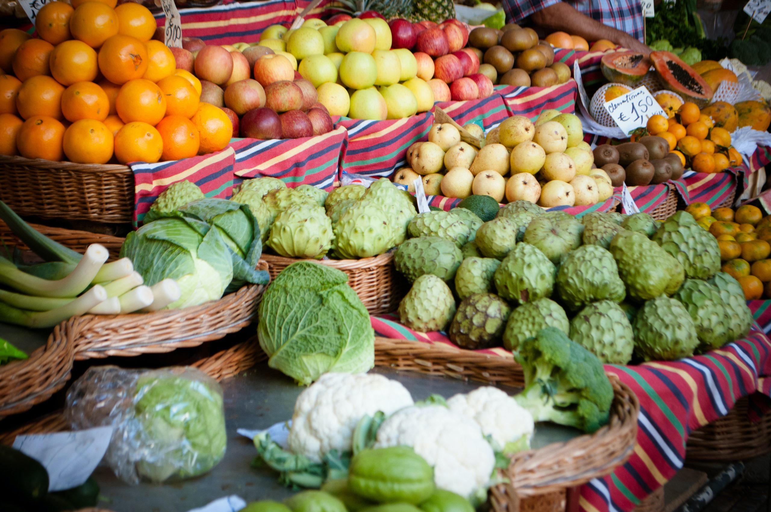 Qatar has capability to achieve food security globally: Lebanese minister