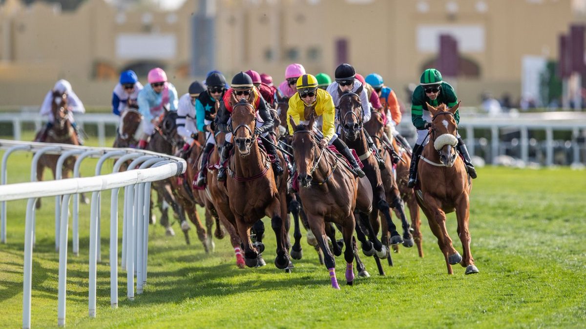 Qatar equestrian competition heats up with ‘highest’ prize money in history