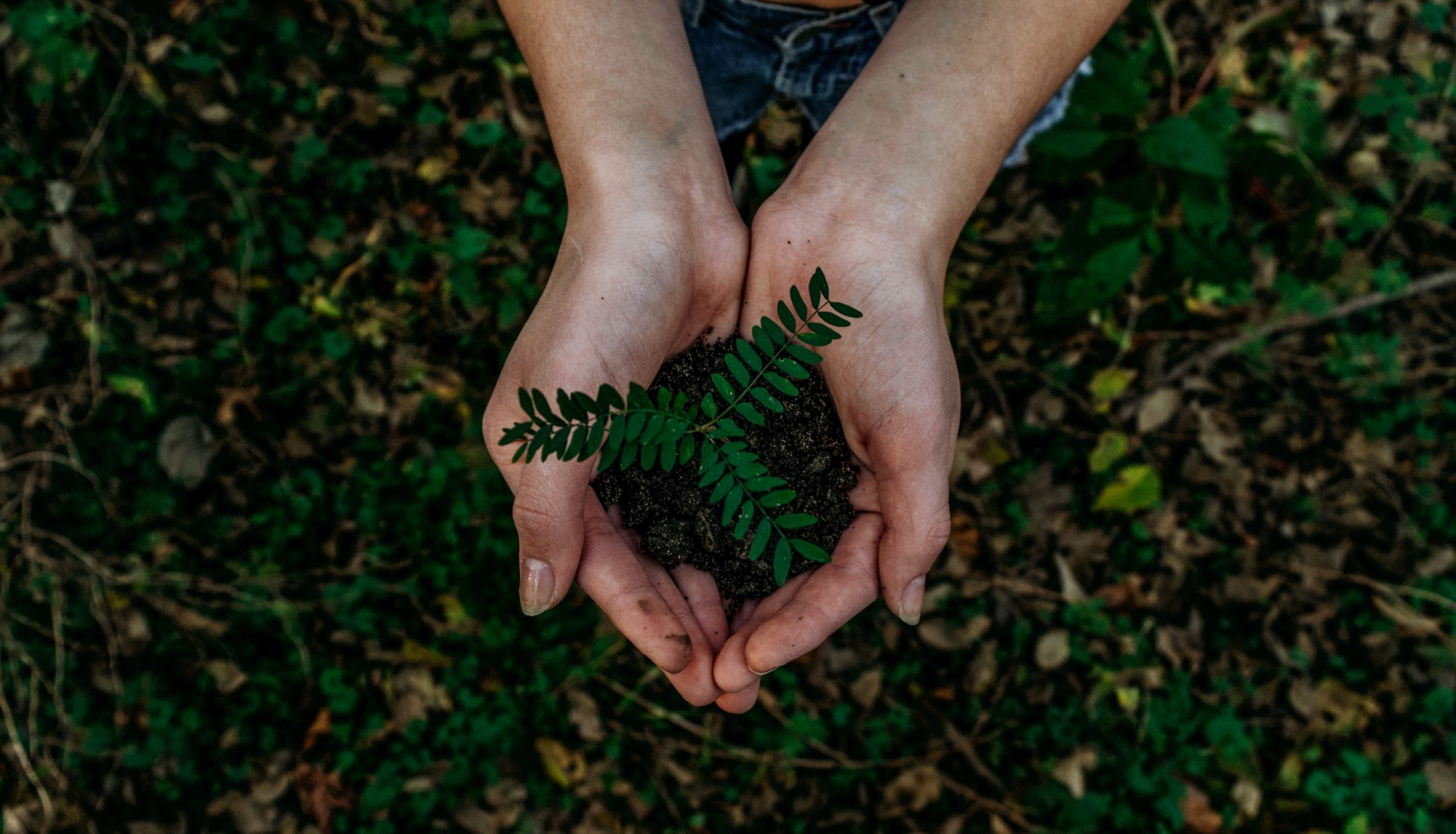 Qatar promotes environmental awareness among youth with new summer programme