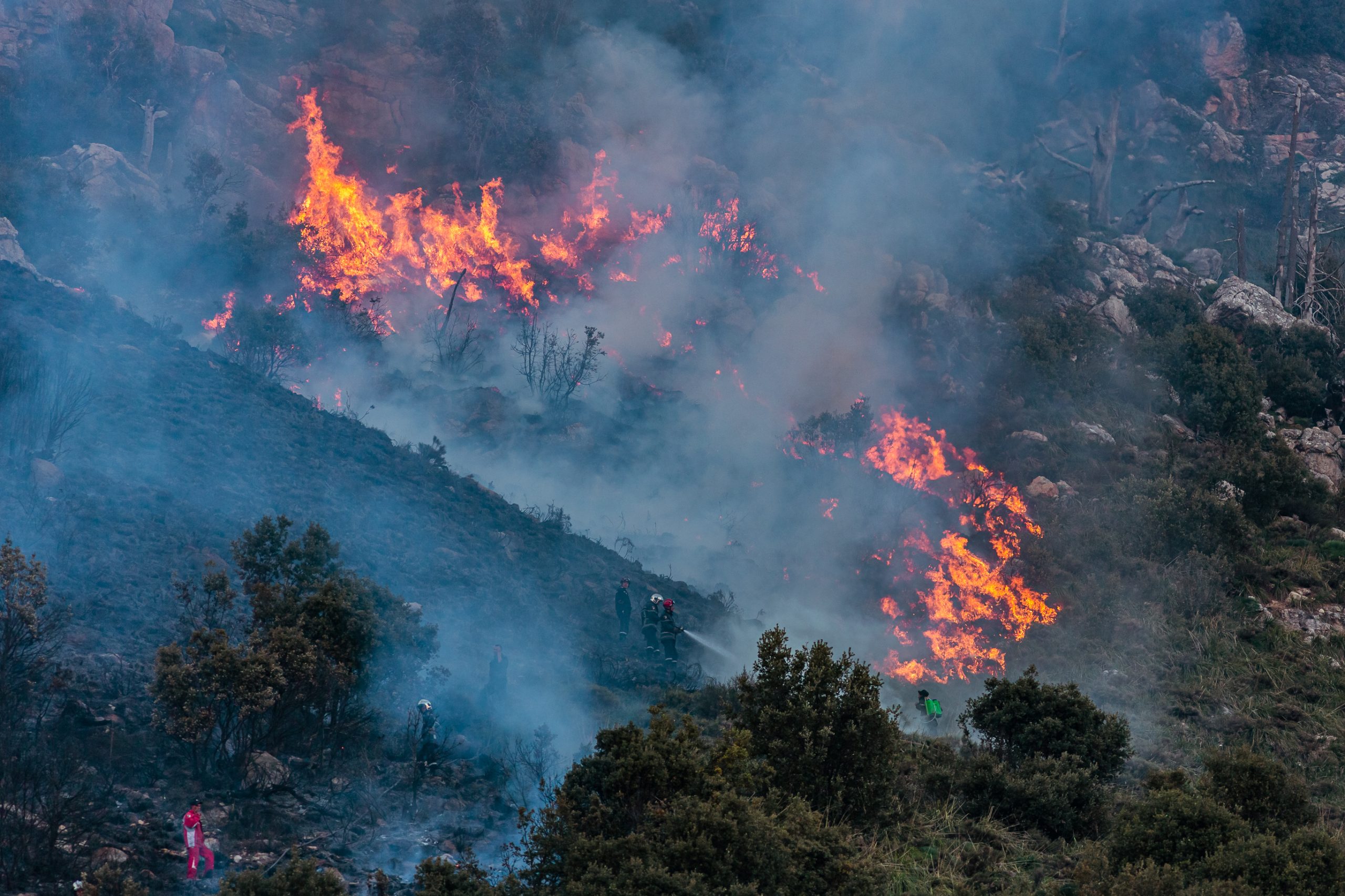 Qatar’s amir sends condolences as deadly wildfires sweep Algeria